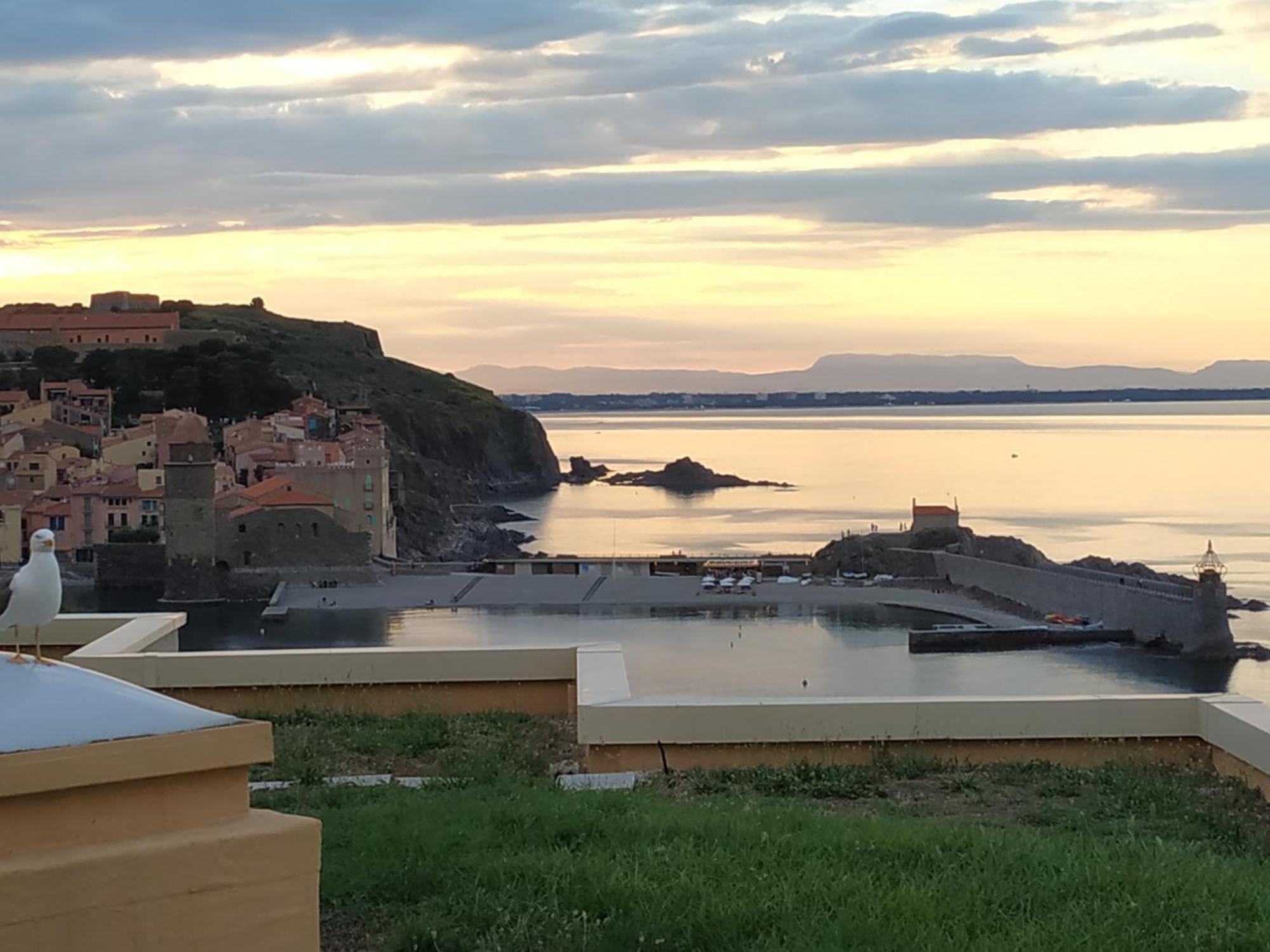 Location Vue Mer Du Samedi Au Samedi, Clim, Parking, Piscine, Plage Collioure Eksteriør billede